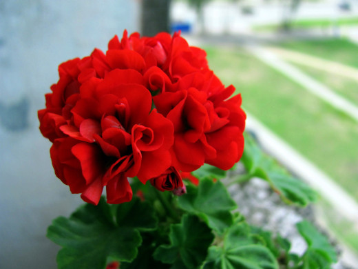 1555808 (a): :2560x1920